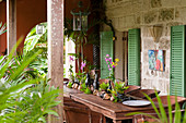 Esstisch mit Orchideen, Zierkürbissen und Muschelschalen dekoriert, im Vordergrund eine Siegellackpalme