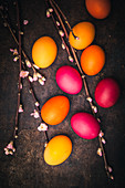 Sprigs of blossoms and Easter eggs coloured with organic dyes