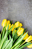 Bunch of yellow tulips on stone surface
