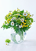 Bouquet of ox-eye daisies, viburnum and cotton lavender in glass vase