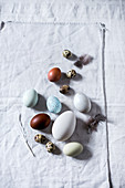 Various types of egg on white fabric
