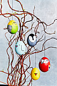 Easter eggs decorated with bird motifs hung from twigs