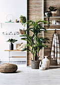 Shelf with wellness utensils and house plants