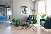 Cat in seating area with Art-Deco vintage armchairs