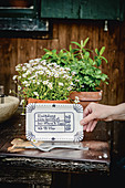 Hand stellt Pappteller mit Einladung zum Grillfest an einen Blumentopf