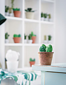 Green-painted pebble cacti in terracotta pot