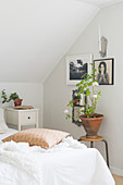 Helles Schlafzimmer im Dachgeschoss, Hocker mit Geranie neben Bett, schwarz-weiße Fotos an der Wand