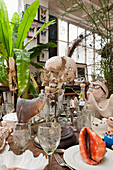 Set table decorated with bizarre curiosities