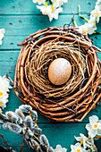 Wachtelei im Nest mit Weidenkätzchen und weissen Narzissen