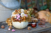 Ornamental gourd used as vase for chrysanthemums, snowberries and dried hydrangea florets