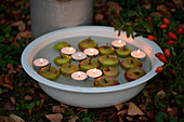 Apples and tealights floating in bowl of water