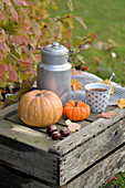 Old wine crate decorated for autumn with pumpkins, milk churn and cup of tea
