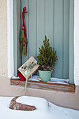 Gift, tiny conifer and tassel of pine needles decorating door