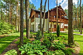Country house in clearing of pine woods