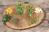 Plants for making herbal distillates (for cooking)