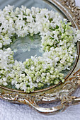 Wreath of white lilac on vintage mirror