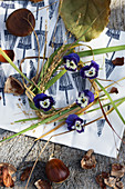 Sweet chestnuts and wreath of violas and grass on Japanese paper