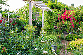 Zinc watering can, rose arch and pergola in garden