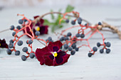 Braided wreath of Virginia creeper twigs and berries with viola flowers