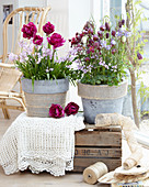 Töpfe mit Tulpen, Hasenglöckchen, Schachbrettblumen und Akelei