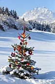 Tannenbaum im Schnee dekoriert mit selbstgemachten Filzanhängern