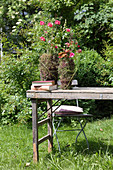 Sommerblumen in dekorativ umwickelten Gefäßen auf Holztisch im Garten