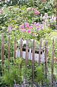 Planter hung from paling fence in flowering garden