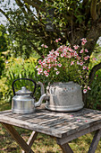 Kettle used as decorative planter in garden