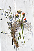 Poppies, dried grasses and fresh branch on white boards