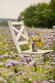 Posy of dyers' chamomile, ox-eye daisies and scabious on wooden chair in field of purple tansy