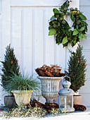 Ivy wreath, potted conifers and lantern