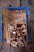 Garlic cloves and flowers wrapped in tissue paper in cardboard box