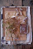 Getrocknete, zusammengebundene Knoblauchblüten und Knoblauchzehe als Tischdekoration
