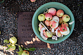 Peeled apples and freshly-picked apples in bucket on metal plaque