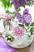 Lilac, Meyer lilac and lily-of-the-valley in various vases