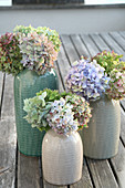Bouquets of hydrangea flowers