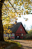 Red half-timbered house with thatched roof in autumn