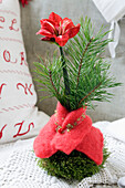 Amaryllis decorated with moss, pine branches and wool