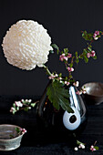 White chrysanthemum with snow berry branches in a black vase