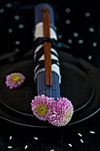 Black plate with chopsticks and chrysanthemums (Chrysanthemum)