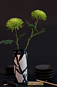 Green chrysanthemums in a black and white vase against a dark background