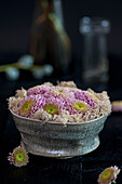 Bowl with chrysanthemums (Chrysanthemum) and dried moss