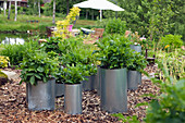 Ventilation pipes converted into planters