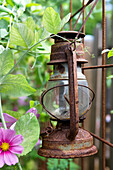 Rusty old lantern hung on the steel grid in the garden