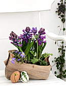 Violet hyacinths, cowbell, and Balkan anemones in a wooden bowl