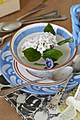 White scented snowball in a teacup with silver spoons