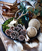 Forest arrangement with cones, deer skull, moss, and ornaments