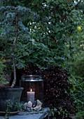 Kerze in einem Glas mit Muscheln im abendlichen Garten