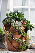 Succulents planted in old clay shards, stacked