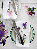 Tischdeko mit verschiedenen Akeleien in Rosa, Violett und Lila